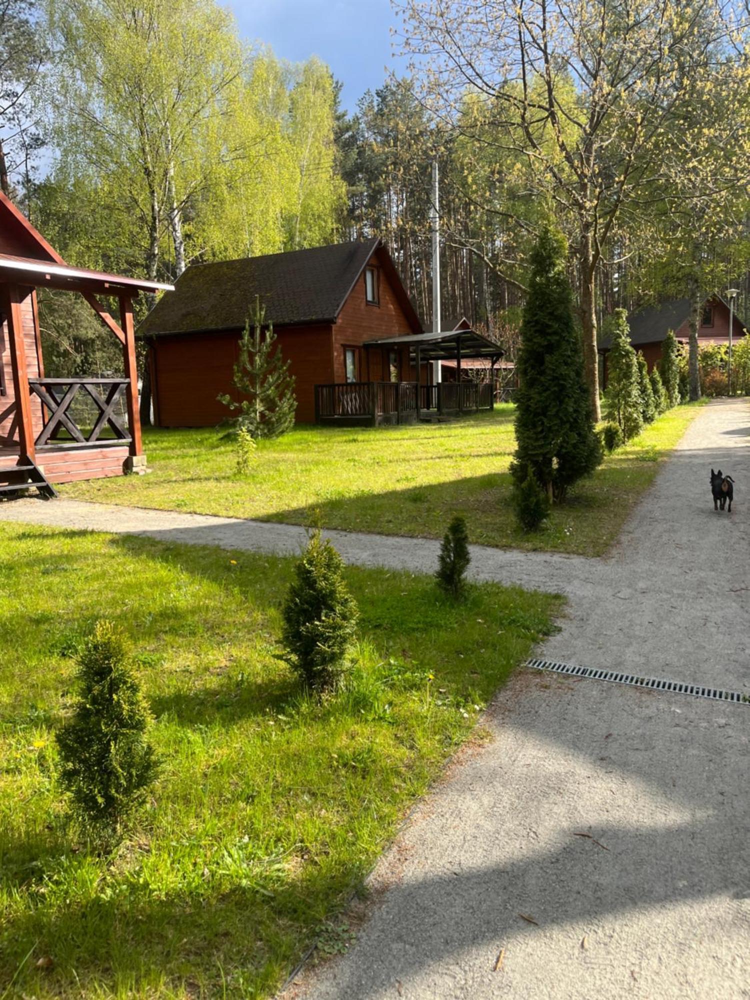 Domki Letniskowe Nad Jeziorem Kazub Cieciorka Exterior foto